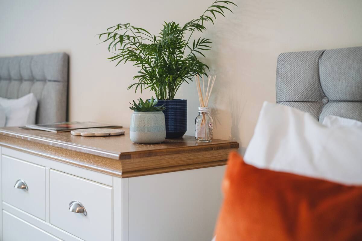 A bedroom with a bed, a bedside table, a potted plant, and a nightstand.