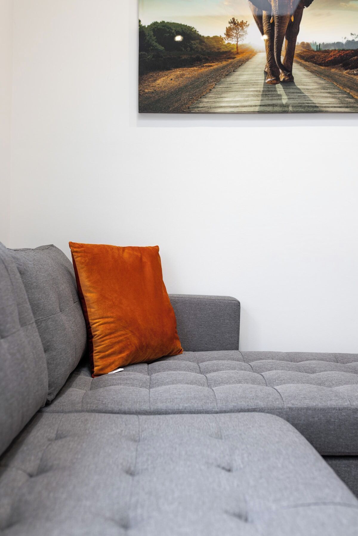 Ein graues Sofa mit einem einzelnen orangefarbenen Kissen vor einer weißen Wand, darüber ein Bild von einem Elefanten und einem Weg.