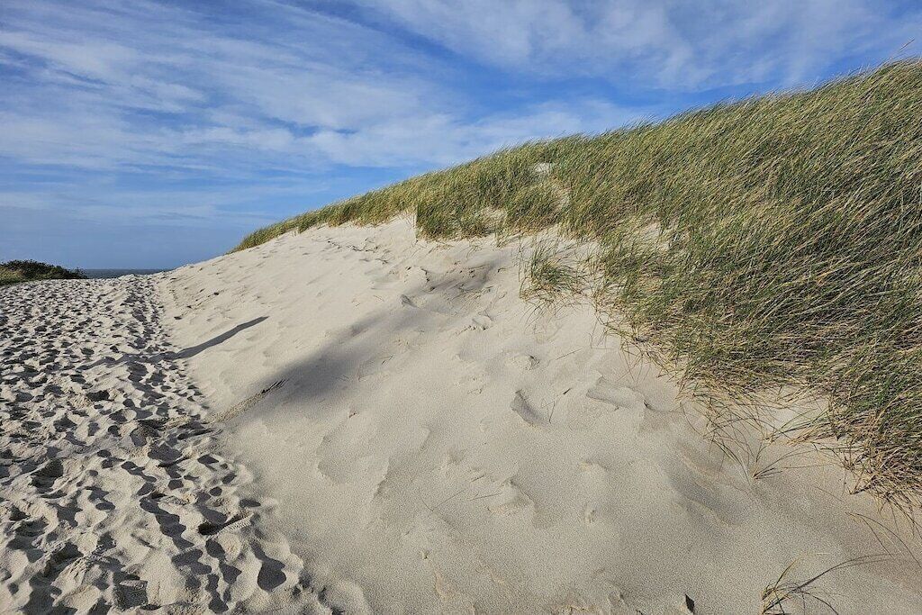 Ein sandiger Strand mit Fußspuren, die auf eine grasbewachsene Düne führen.