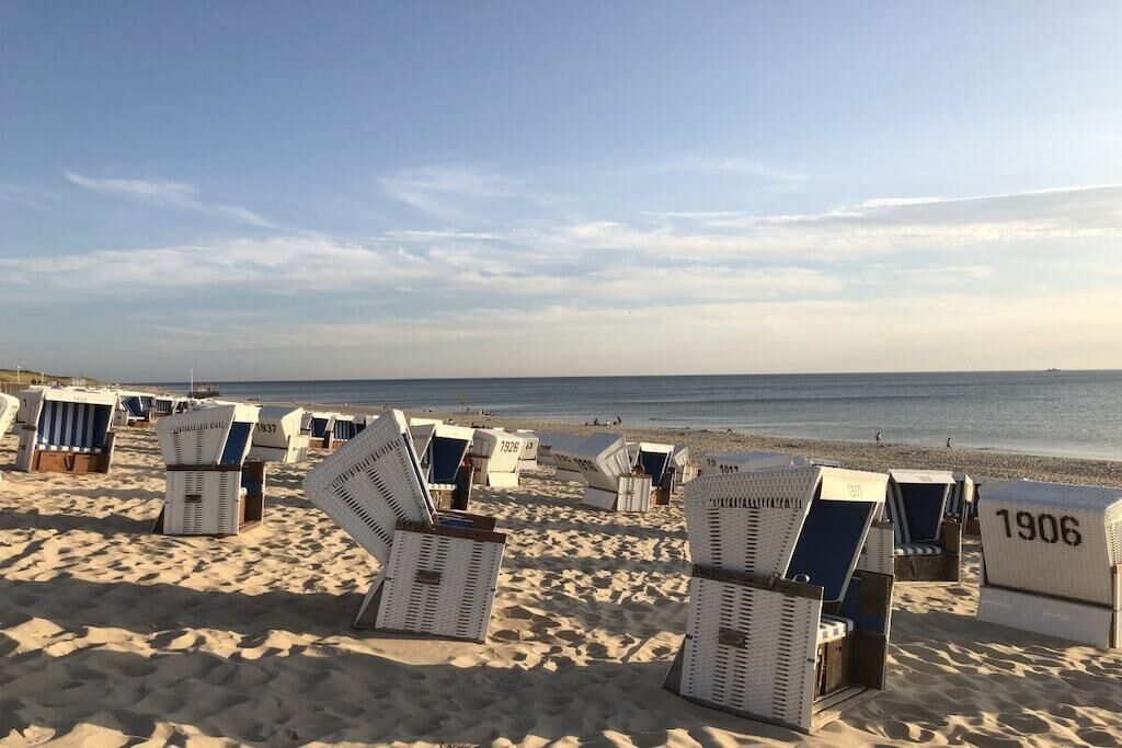 Beach chairs with numbers on the sand, arranged in rows, facing the sea.