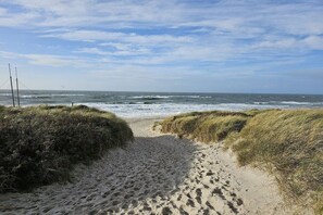 En sandig stig längs stranden, med gräs på båda sidor, som leder ner till havet.