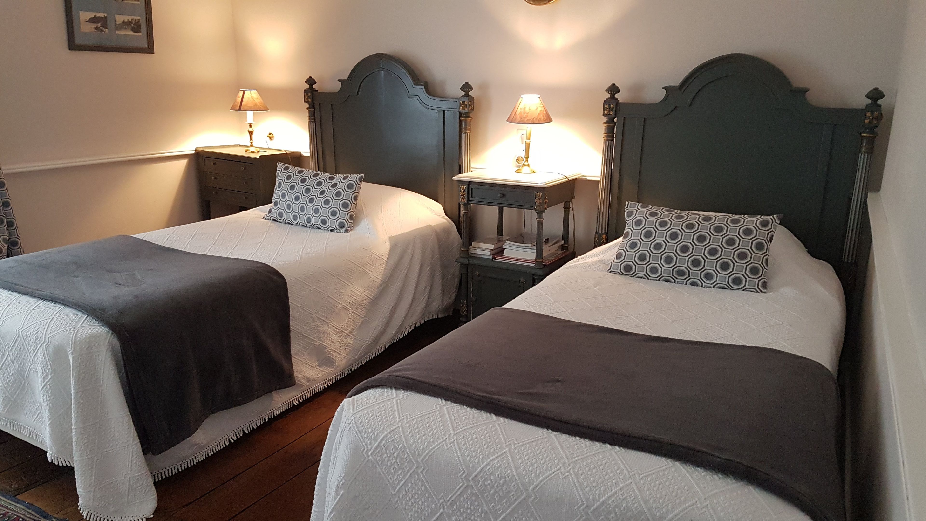Deux lits jumeaux avec des têtes de lit, des tables de chevet avec des lampes et un coussin à motifs sur chaque lit.