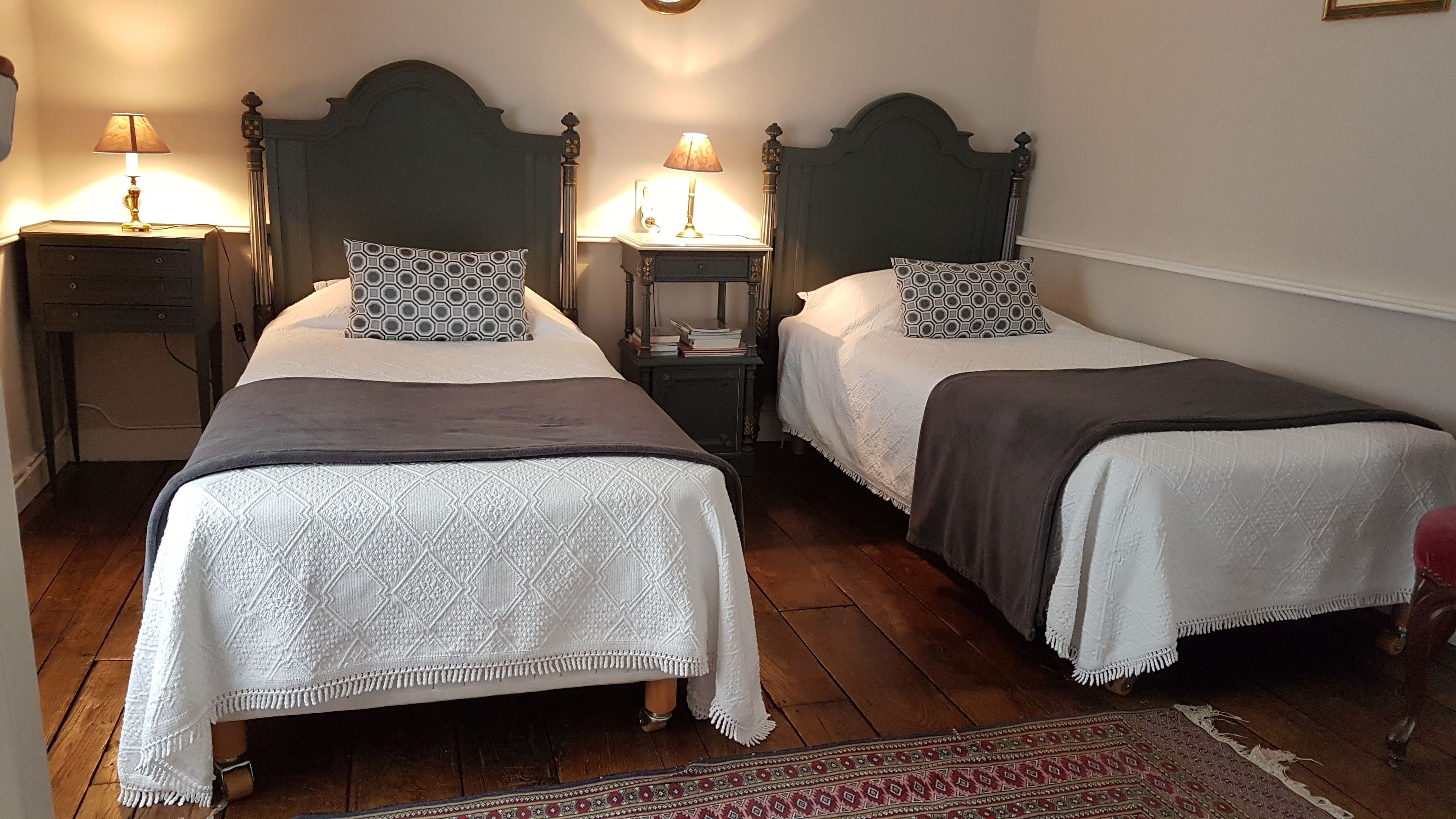 Une chambre avec deux lits simples, chacun agrémenté d’un coussin à motifs et d’une table de chevet avec une lampe.