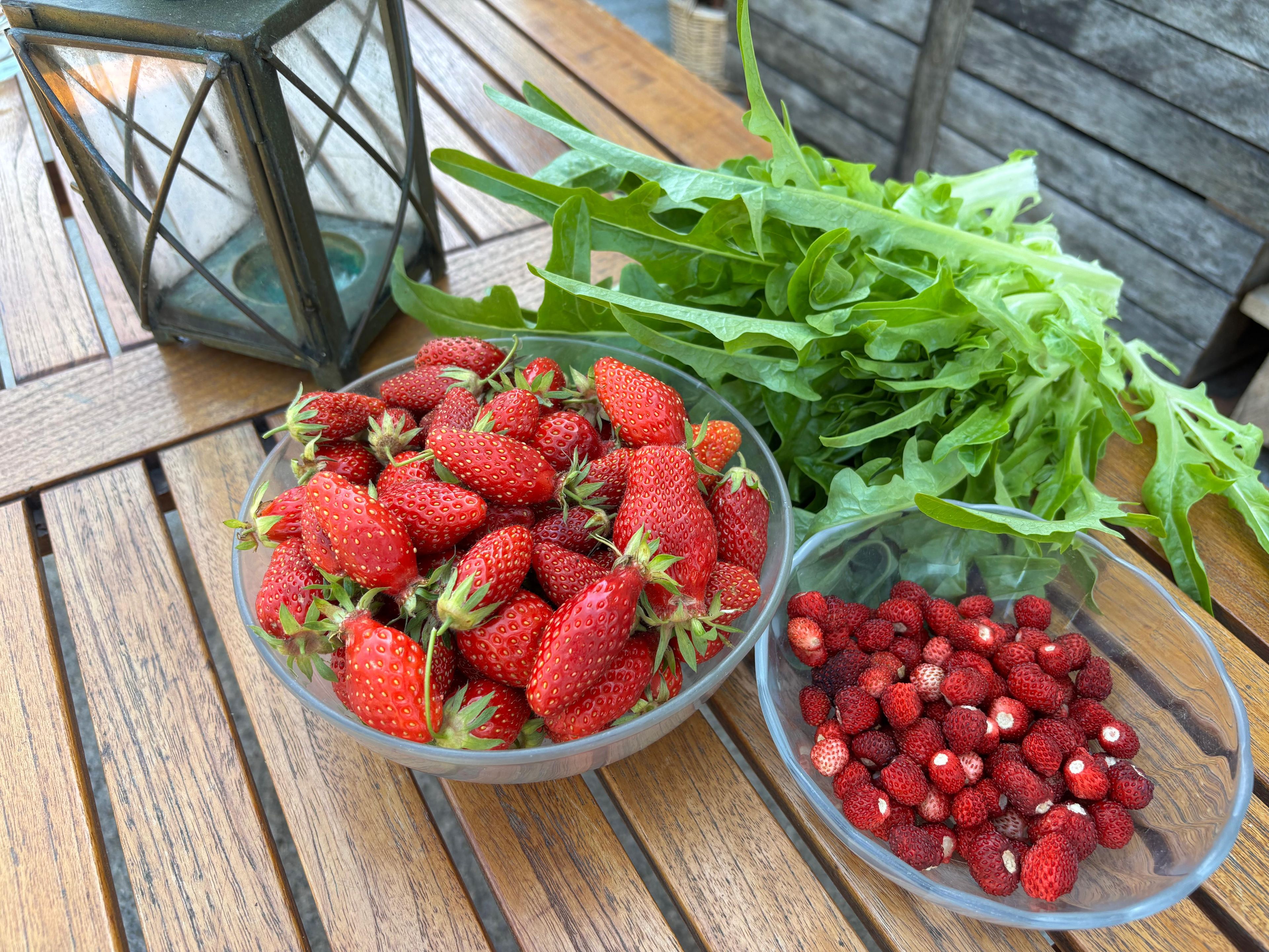 Een houten tafel met twee glazen schalen, gevuld met aardbeien en een bos groene bladeren.