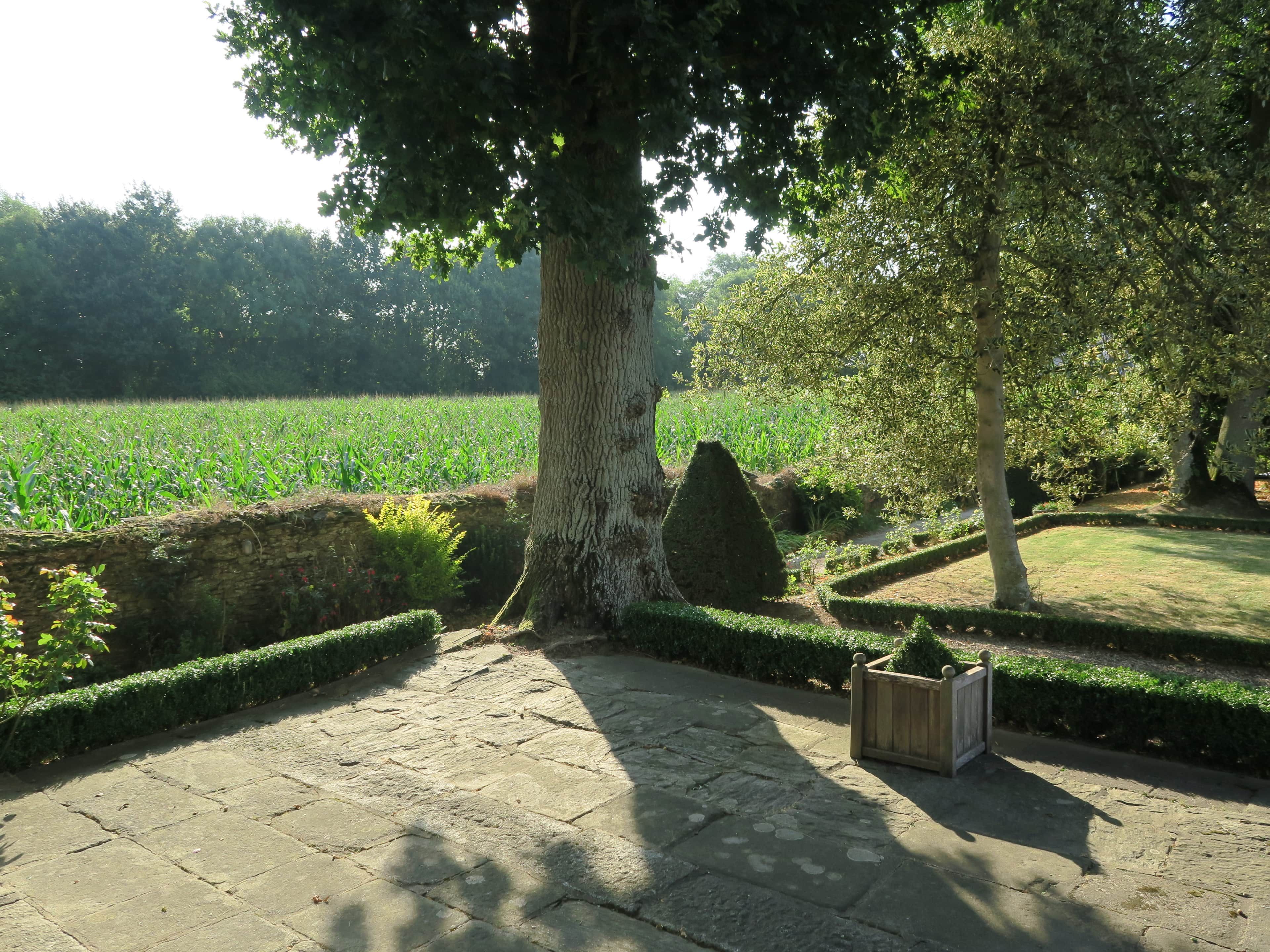 Un chemin de pierres mène à un jardin agrémenté de haies soigneusement taillées et d’un arbre.