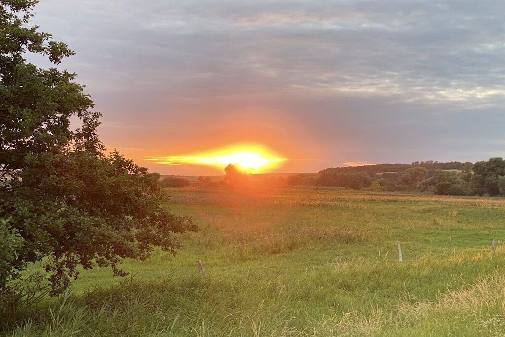 Un atardecer sobre un campo cubierto de hierba con árboles al frente.