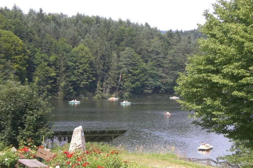 Un lac entouré d’une forêt dense, avec des bateaux sur l’eau.