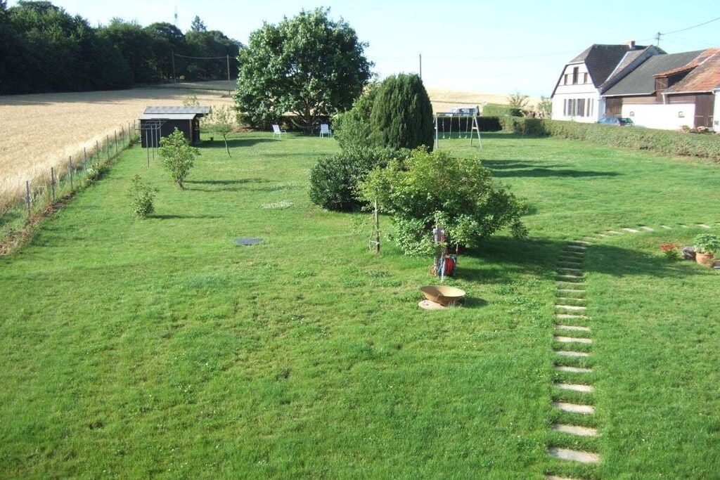 A well-maintained grassy yard with a small shed, a tree, and a house in the background.