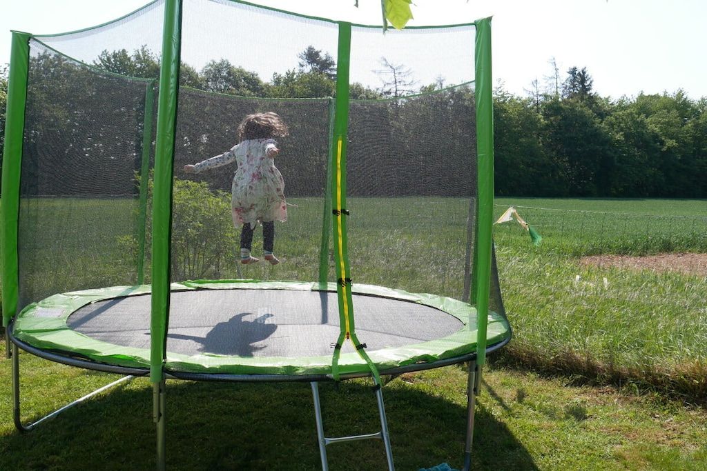 A trampoline with a safety net enclosure in a grassy outdoor area.
