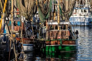 Un port où sont amarrés plusieurs bateaux, dont un navire vert baptisé « MEDIA-LUKE » et un bateau en bois appelé « GREETSEL ».