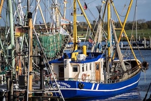 A blue fishing boat docked at a marina with other boats and fishing equipment visible. - Holiday apartment with 3 bedrooms (Krummhörn-Greetsiel)
