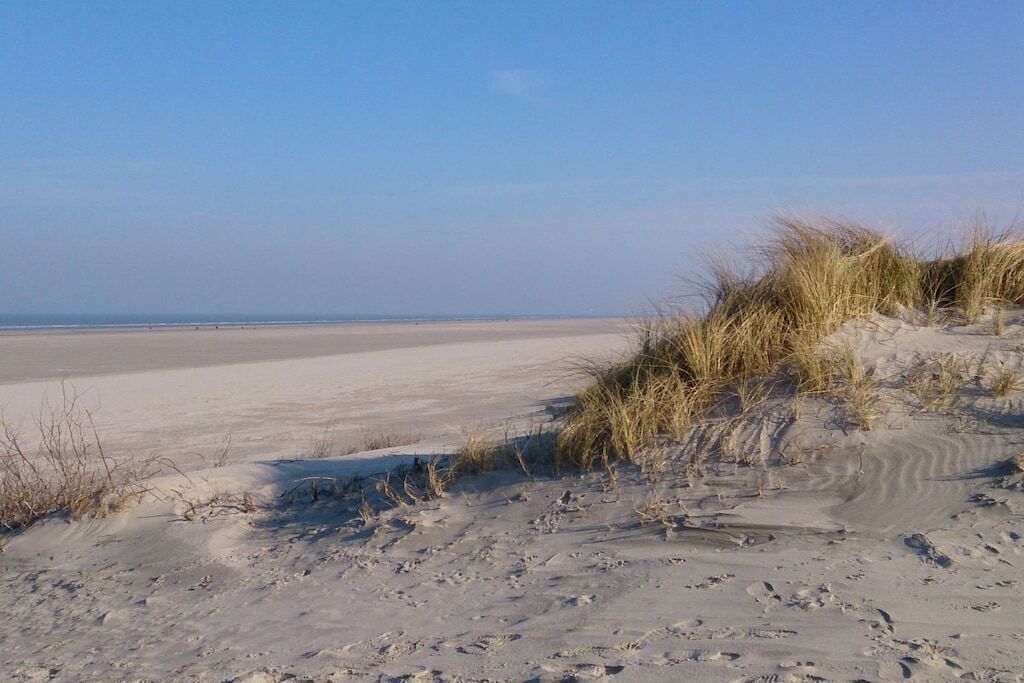A beach with sand dunes and a clear sky.