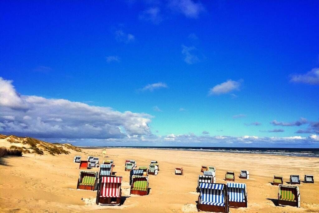 En strand med rækker af strandstole og parasoller.