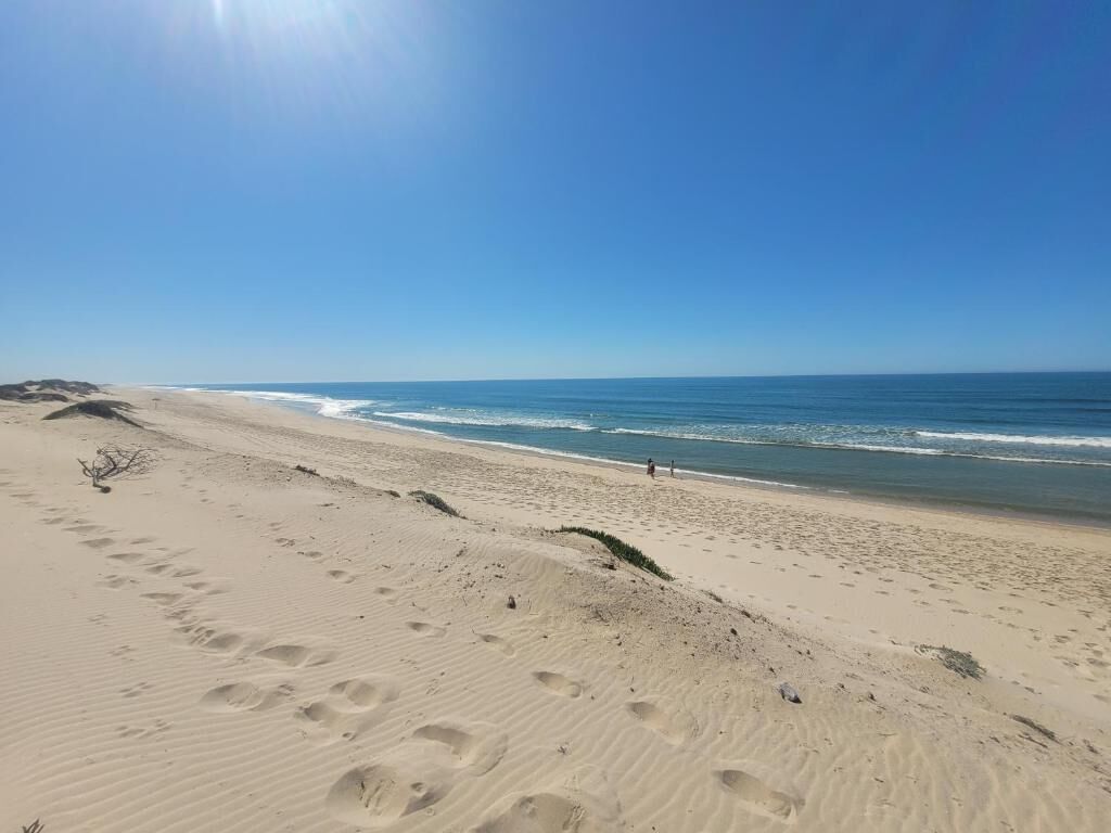 A sandy beach with footprints leading to the water, a clear sky, and a calm sea.