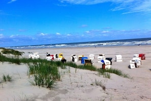 A beach with sand dunes and a row of numbered beach huts. - Knutt in the house Bill15 (Juist)