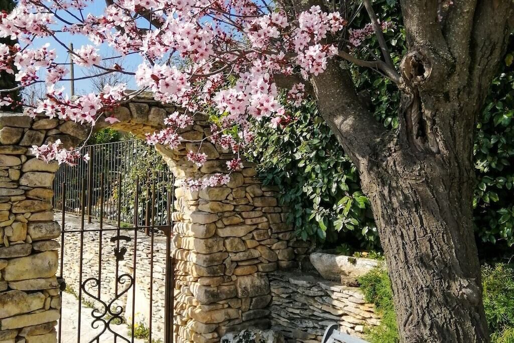 A stone archway with a metal gate, surrounded by blooming pink flowers and greenery.