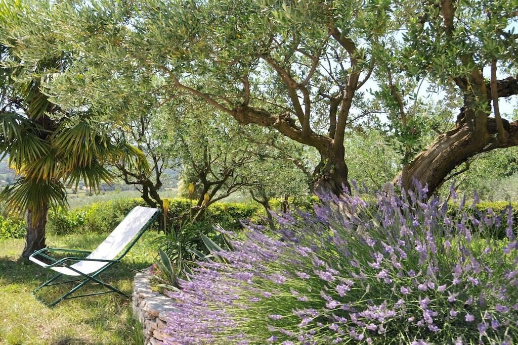 Un jardin avec un fauteuil de relaxation blanc, des buissons de lavande et des arbres.