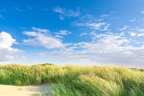 Una platja amb dunes de sorra i herba alta sota un cel serè.