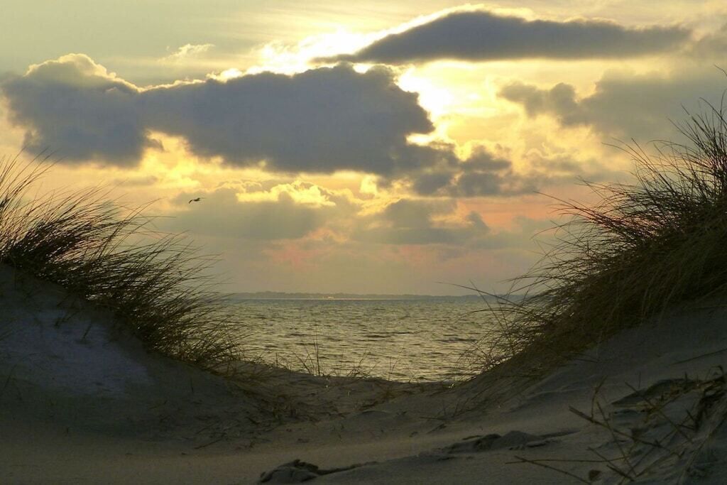 A beach with sand dunes and a view of the sea.