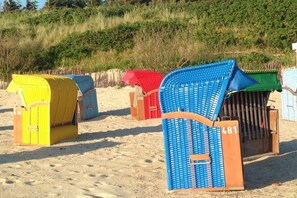 Strandliegen mit Nummern, auf einem Sandstrand aufgereiht, mit Vegetation im Hintergrund.