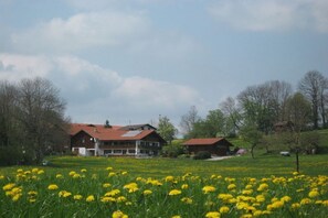 Ein zweistöckiges Gebäude mit rotem Dach, umgeben von einem Feld gelber Blumen, mit Bäumen im Hintergrund.