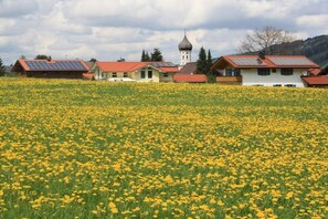 A field of yellow flowers in front of a row of houses with solar panels on the roofs. - Holiday apartment with 1 bedroom (Unterammergau)