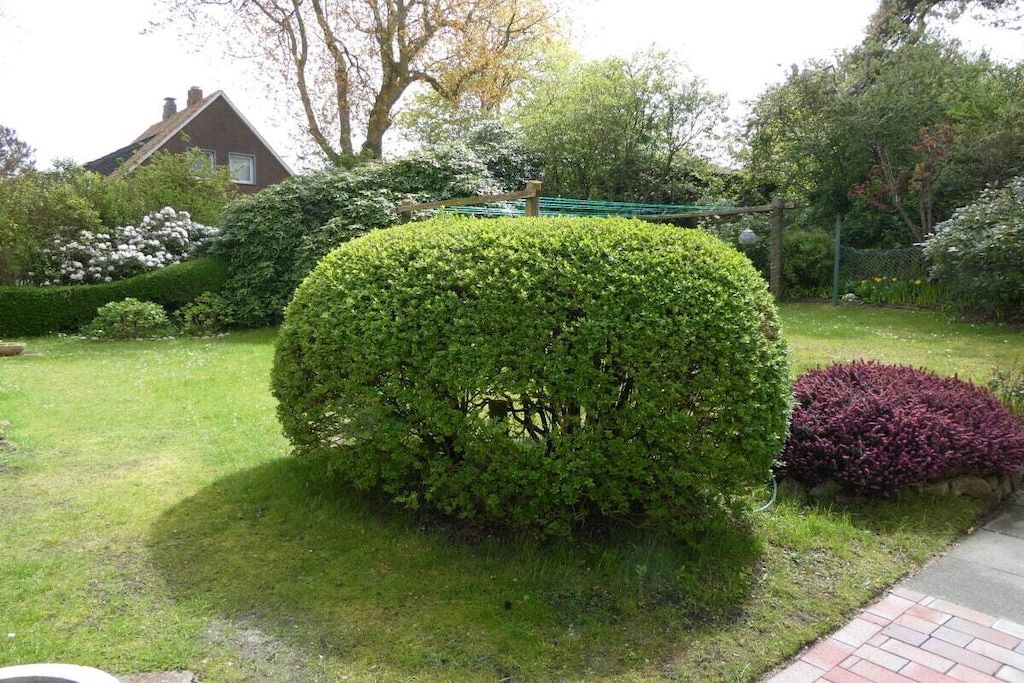 Un jardín bien cuidado con un arbusto recortado, césped y un camino de ladrillo.