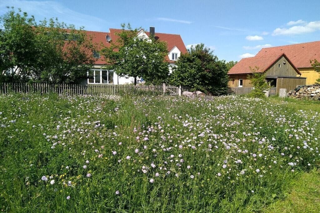Ländliche Landschaft mit einem weißen Haus, einer Holzbude und einem Feld voller weißer Blumen.