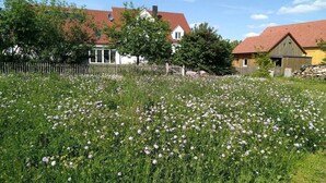 Paesaggio rurale con una casa bianca, un fienile di legno e un campo di fiori bianchi.