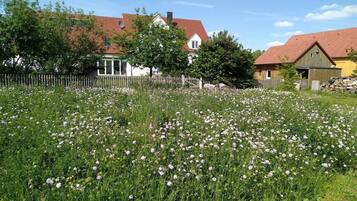 Ländliche Landschaft mit einem weißen Haus, einer Holzbude und einem Feld voller weißer Blumen.