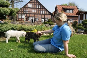 A person sitting on grass in front of a traditional half-timbered house with a well-maintained garden. - Holiday apartment with 2 bedrooms (Wunstorf - Idensen)