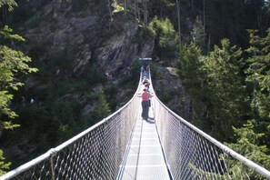 A suspension bridge with a metal railing, surrounded by dense forest and rocky cliffs. - Apartment in Forstau with sauna and balcony (Forstau)