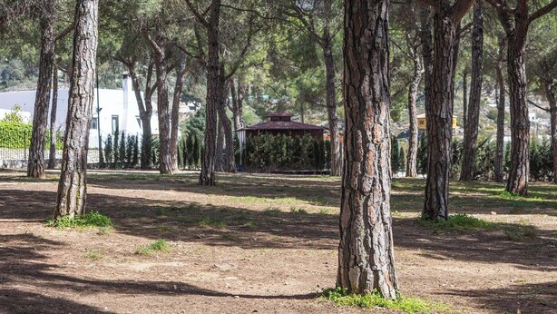 Un parc avec de grands arbres et un kiosque visible au loin.