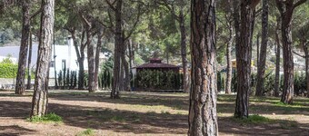 Camping Sierra de las Nieves