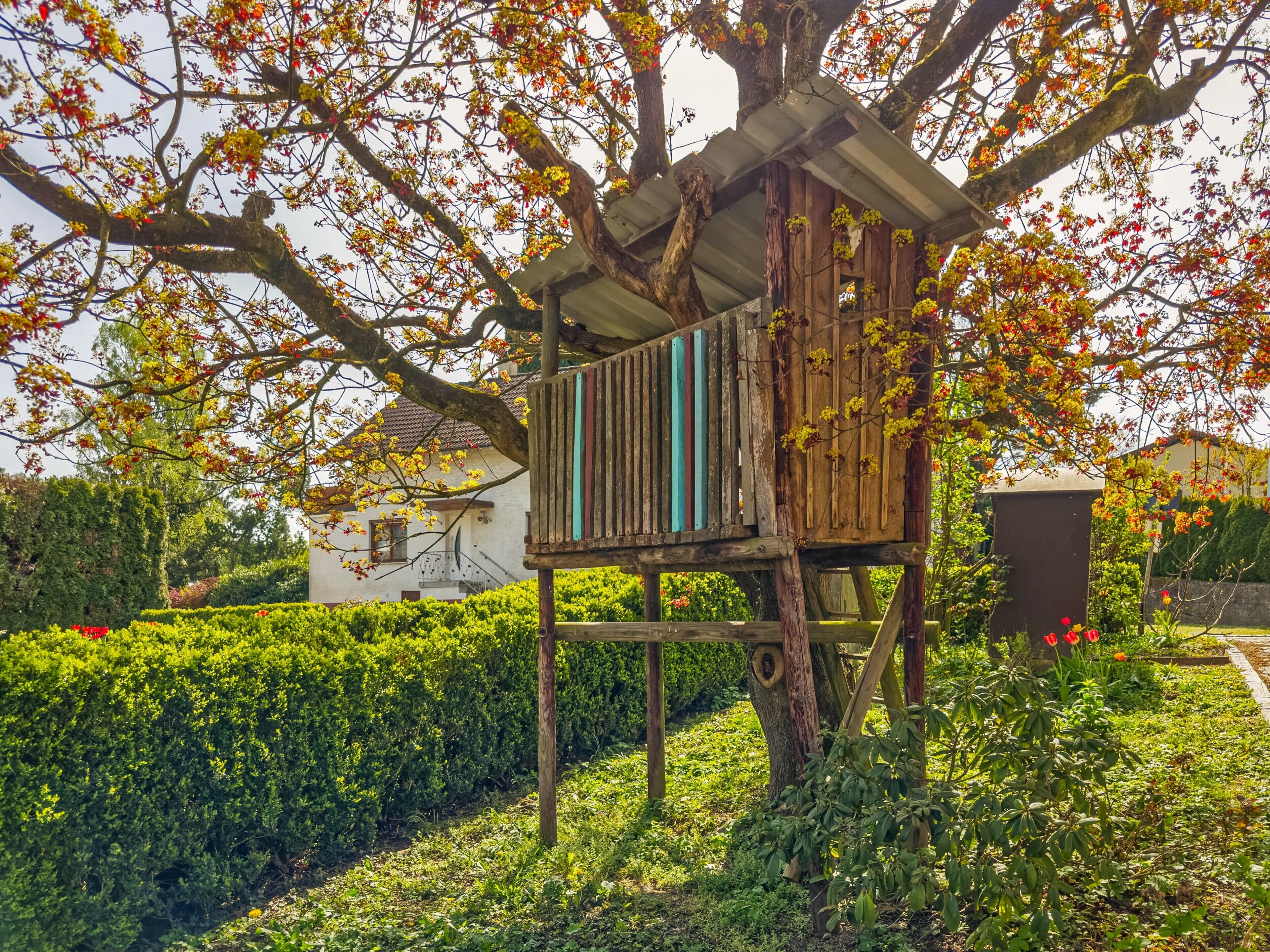 A wooden treehouse structure with a slanted roof, supported by wooden beams, surrounded by lush greenery and flowering trees.