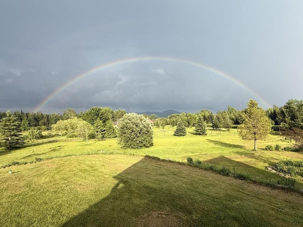 A landscape with a rainbow, grassy fields, and trees.