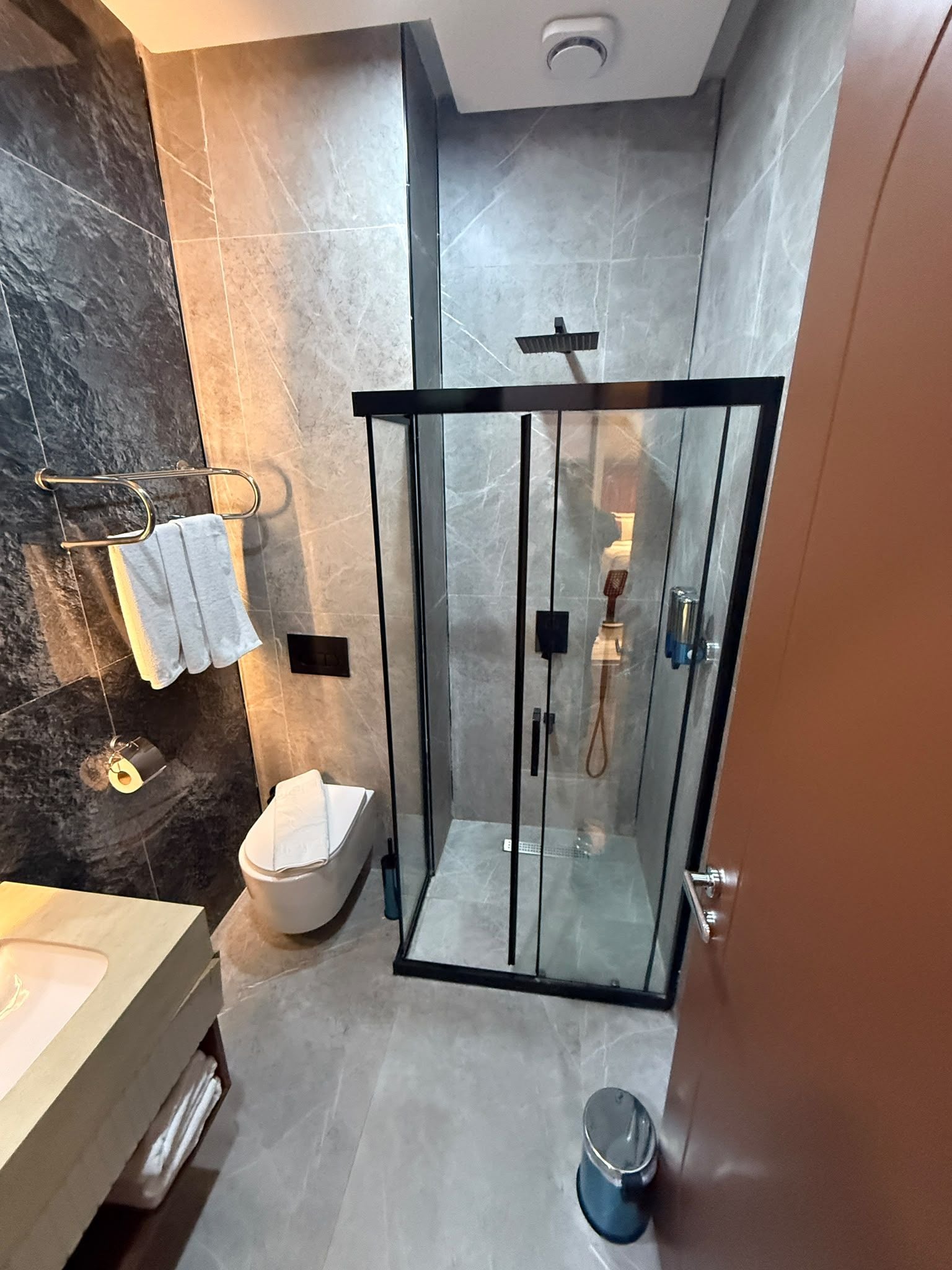 A modern bathroom with a glass-enclosed shower, a toilet, and a sink area.