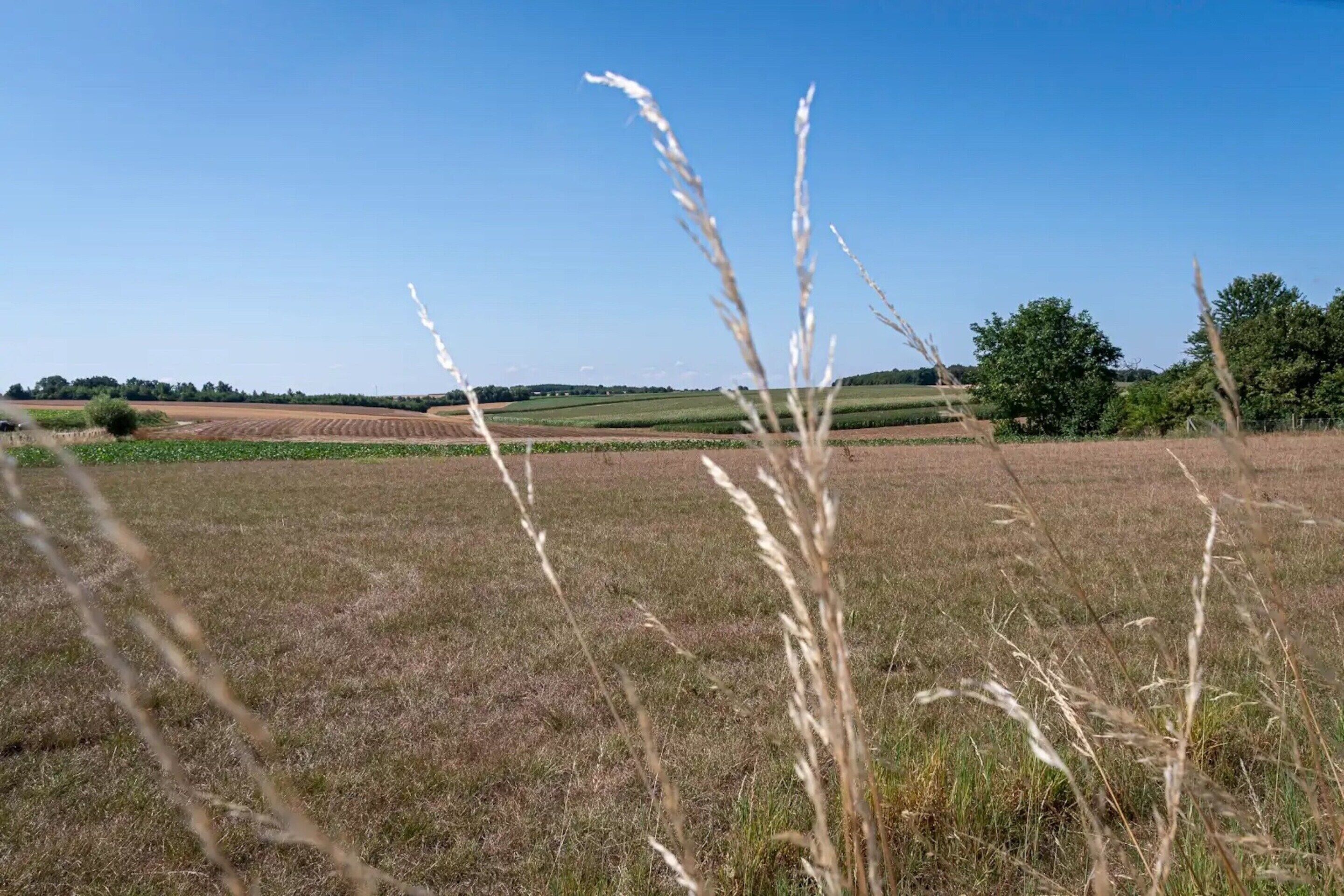 A rural landscape with fields and trees under a clear sky.