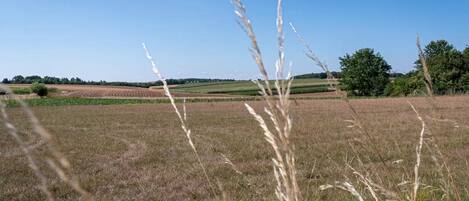 A rural landscape with fields and trees under a clear sky.