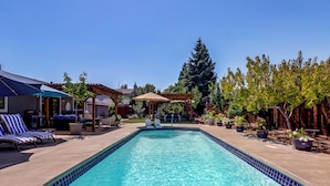 A rectangular swimming pool with a tiled edge, surrounded by lounge chairs and a covered patio area. - Napa Extended Stay: Private Pool, Garage Parking! (Napa)