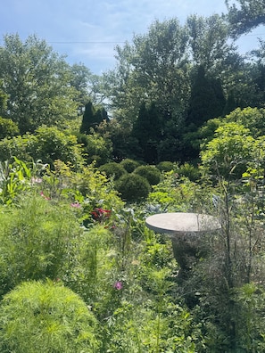 A lush garden with various plants and a circular stone structure. - Mediterranean Retreat. Newly renovate 1,000 sqft. (Chicago)