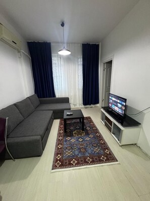 A living room with a sofa, a coffee table, a TV on a stand, and a patterned rug. - amur (istanbul)