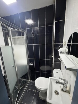 A bathroom with a toilet, sink, and shower area. - amur (istanbul)