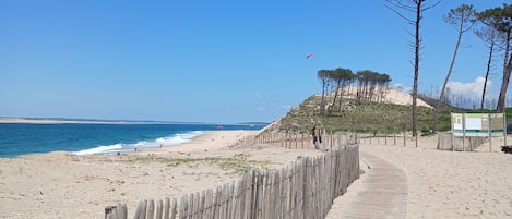 Strand