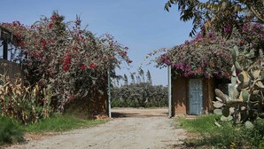 A rural road leading to a stone building with a door, surrounded by flowering plants and cacti. - w Nature Retreat 4BR w Pool BBQ in Ca ete (Quilmaná)