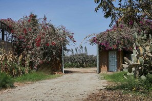 A rural road leading to a stone building with a door, surrounded by flowering plants and cacti. - w Nature Retreat 4BR w Pool BBQ in Ca ete (Quilmaná)