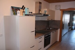 A compact kitchen with a built-in oven, a sink, and a countertop. - Panorama with indoor swimming pool (Hauzenberg)