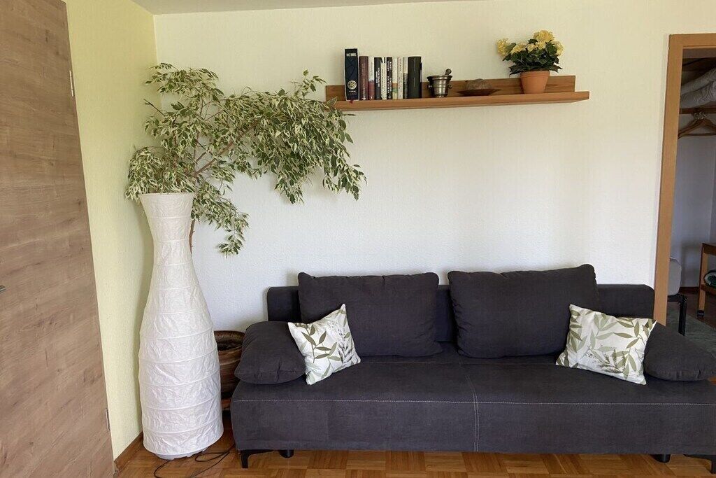 Un salon avec un canapé gris foncé, deux coussins décoratifs, un grand vase blanc, une plante en pot et une étagère en bois avec des livres et un petit pot.