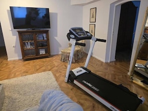 Et træningsområde med løbebånd, tv, skab og tæppe.