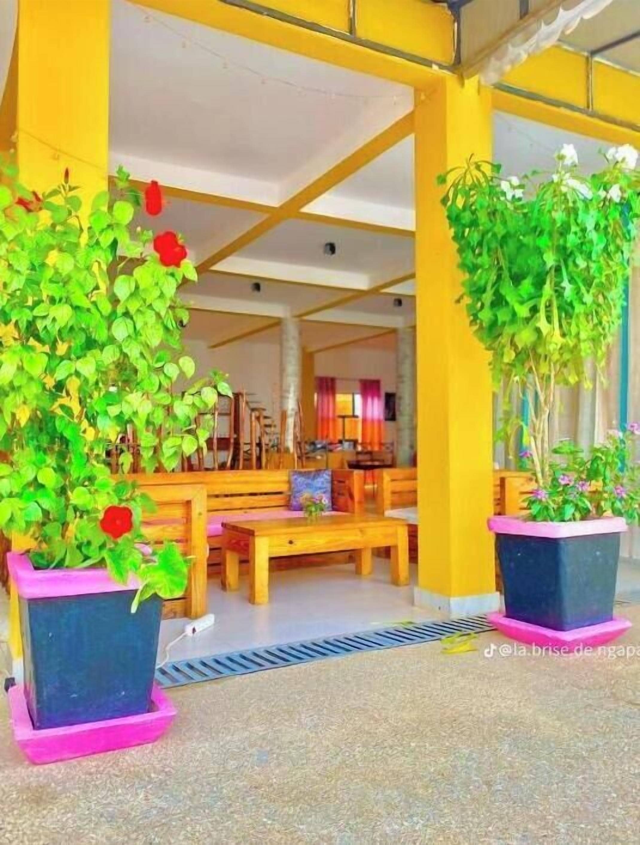 Un espacio de estar al aire libre con plantas en macetas y bancos de madera.